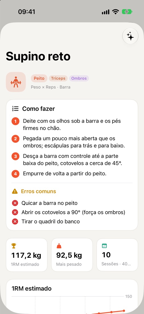 Guias de execução